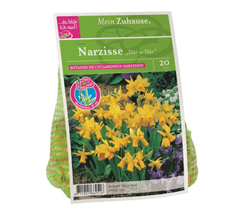 Blumenzwiebel Narzisse Tête à Tête