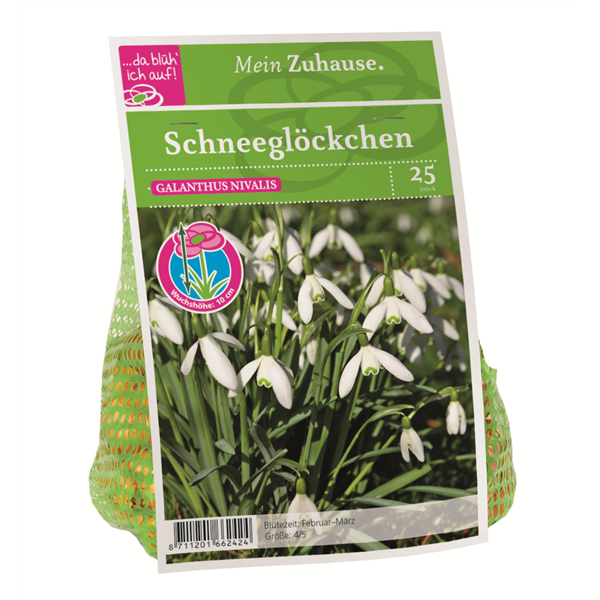 Blumenzwiebel Schneeglöckchen weiß