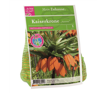 Blumenzwiebel Kaiserkrone orange