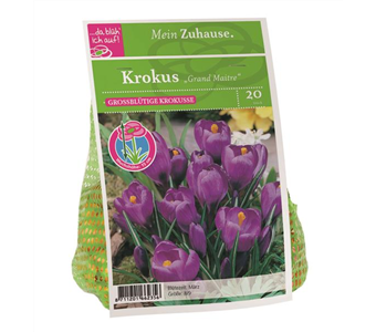 Blumenzwiebel Krokus 'Grand Maitre'